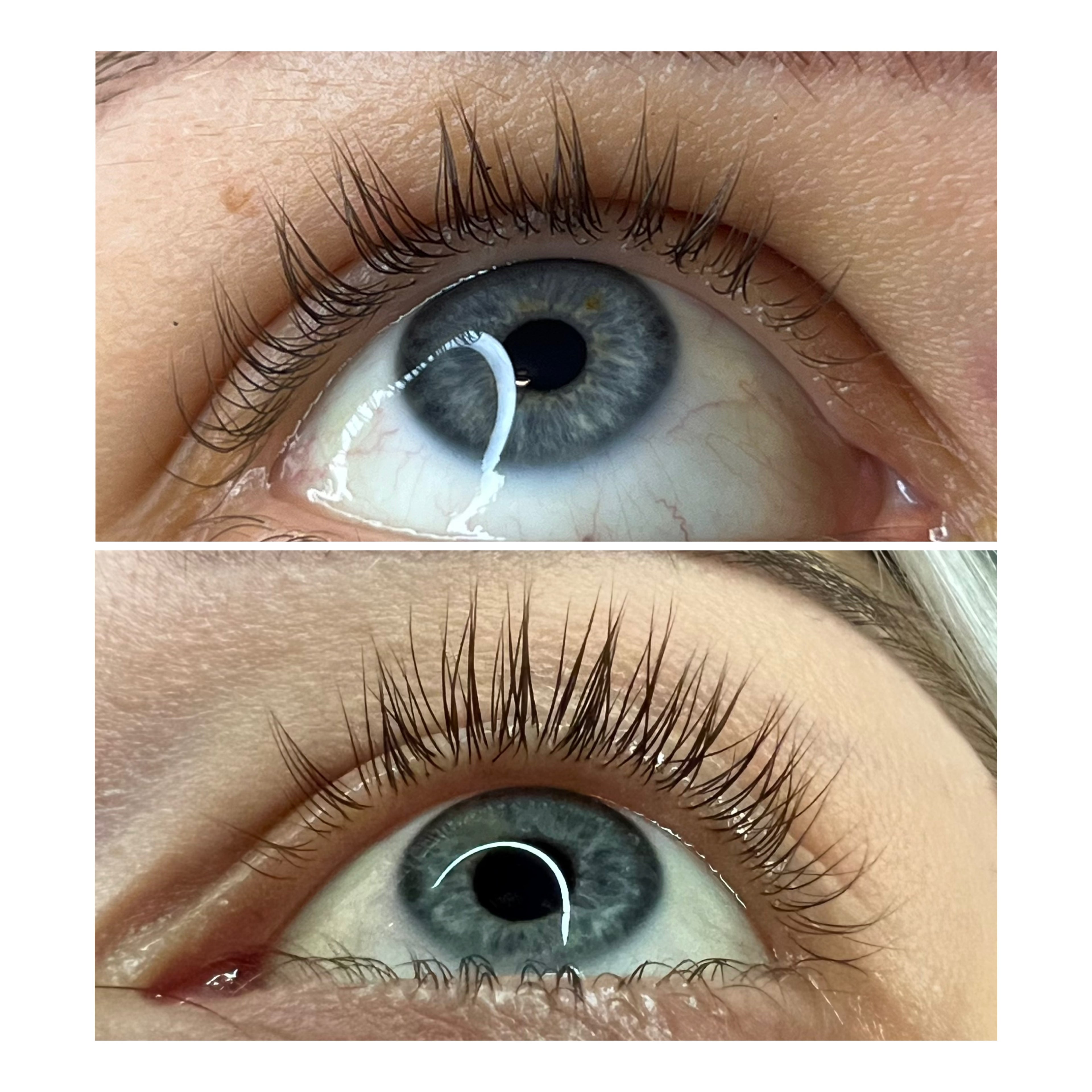 Lashé skropstu augšanas serums (3ml)